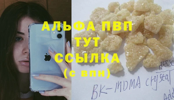 сатива Алексин