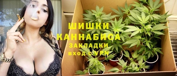 сатива Алексин